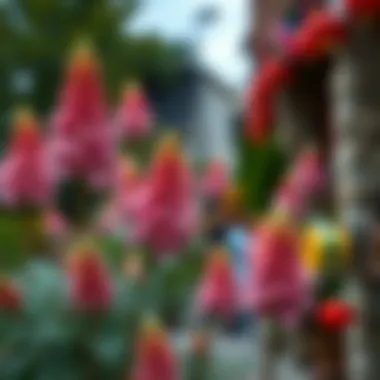 Cultural Significance of Acan Flowers Acan flowers in a cultural celebration setting