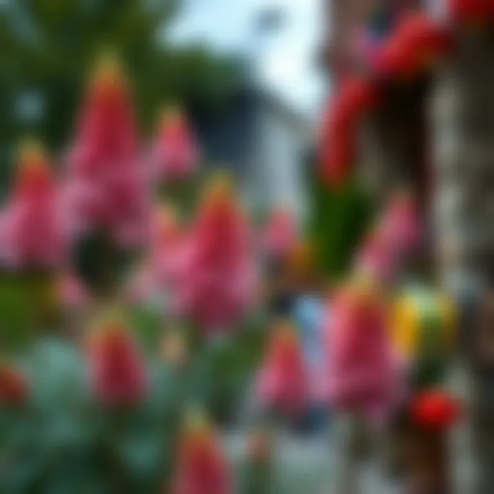 Cultural Significance of Acan Flowers Acan flowers in a cultural celebration setting