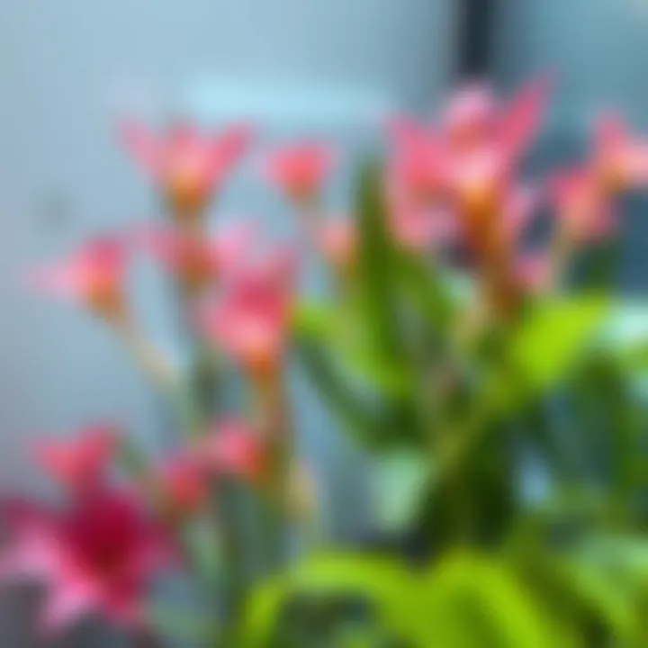 Close-up of aquatic plants complementing blooming flowers