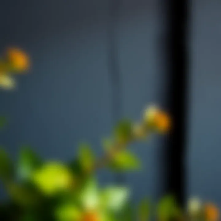 Close-up of anthracite paint texture on a wall.