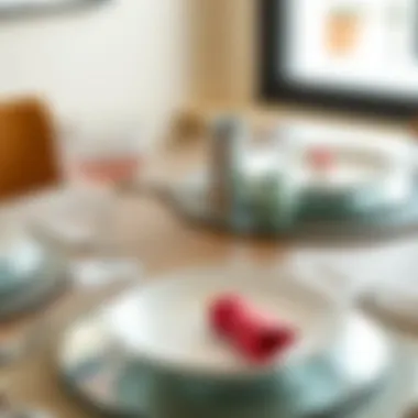 Showcase of various mirrored placemat styles and materials