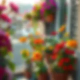 A vibrant balcony garden filled with various flowers