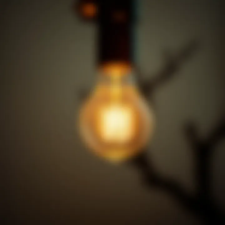 Halogen bulb in a stylish lamp