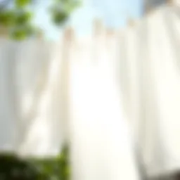 Freshly laundered white clothes hanging under sunlight