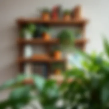 Rustic shelves adorned with plants and books