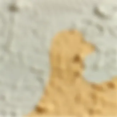 The Art of Texture in Wall Finishes Detailed close-up of texture in wall painting