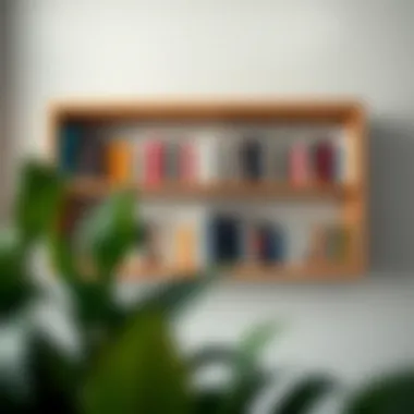 Completed wall bookshelf with books