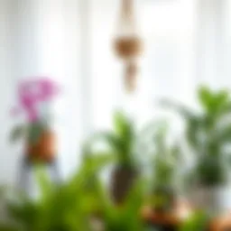 Indoor plant arrangement creating a serene atmosphere