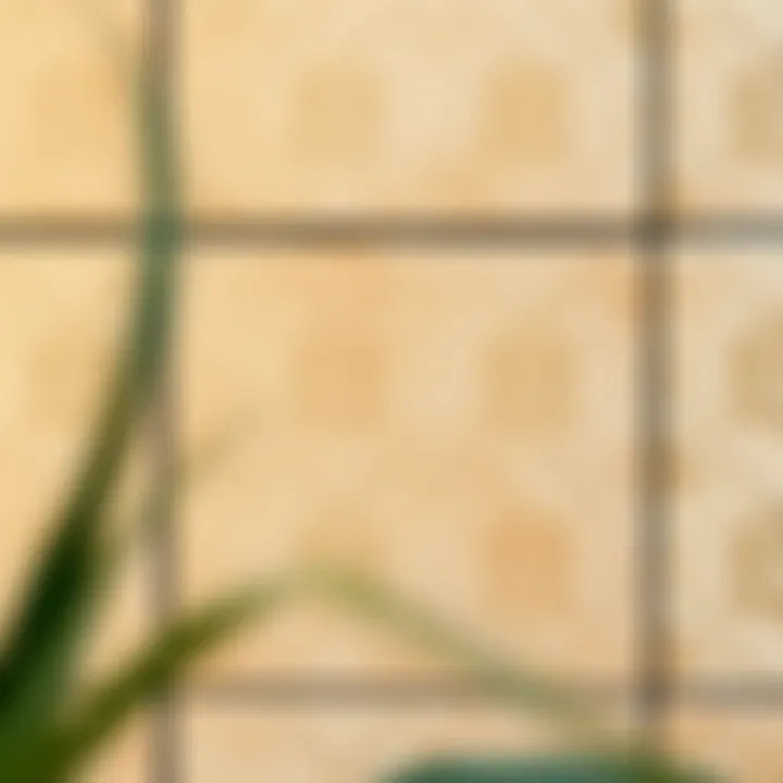 Close-up of wallpaper texture applied on tiled surface