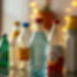 Creative recycling project using plastic bottles