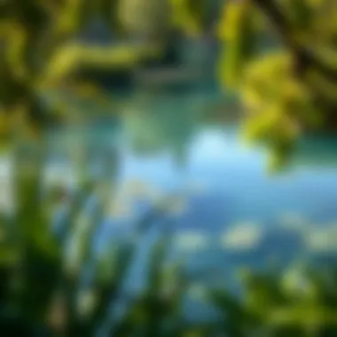 Tranquility in Nature: The Union of Water and Greenery A tranquil water body surrounded by lush greenery.