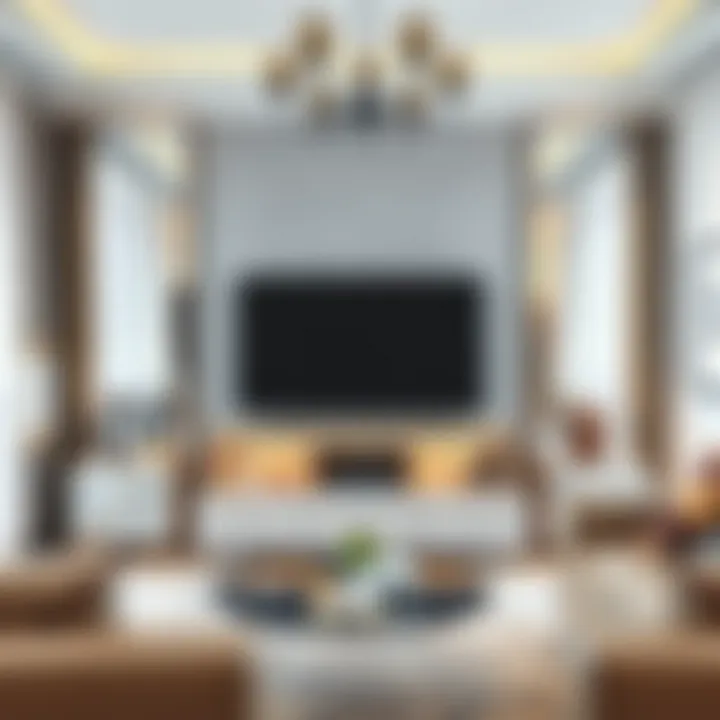 Beautifully Decorated Room with Gray Mirrored TV Unit A beautifully decorated room featuring a gray mirrored TV unit as the focal point.