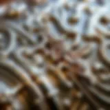 Close-up of a shiny silver object displaying intricate details