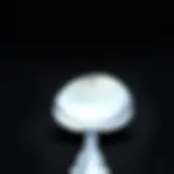 A gleaming silver spoon placed against a dark background