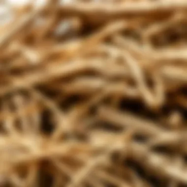 Close-up of natural materials used in straw house construction