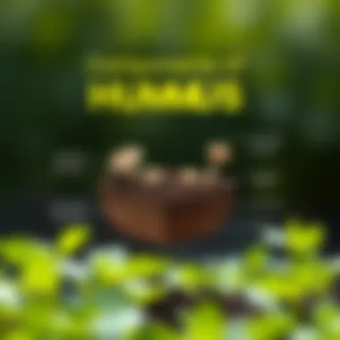 Components of Humus Soil Explained Diagram illustrating the components of humus