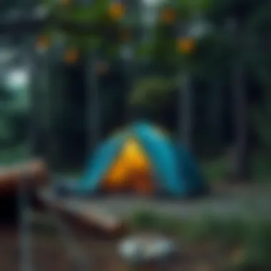 A picturesque camping scene with a tent surrounded by nature, ideal for inspiration.