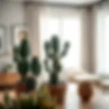 Aesthetic cactus arrangement in a modern bedroom
