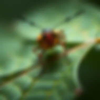 A serene image depicting the ecosystem interaction involving the dry leaf insect