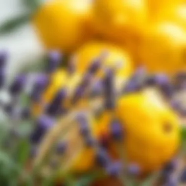 Natural ingredients showcasing lemon and lavender