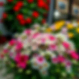 A vibrant arrangement of everlasting flowers suitable for grave decoration