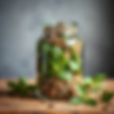 Preserved Dried Mint in Glass Jar Dried mint leaves displayed in a glass jar