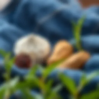 Natural ingredients used for deodorizing denim