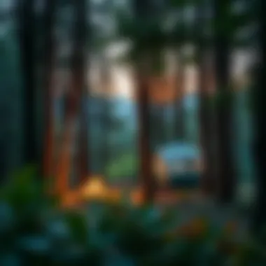 Tranquil Campsite Surrounded by Nature A serene campsite among tall trees