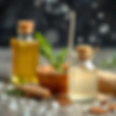 Natural solutions for eliminating moisture smell