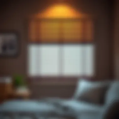 Proper maintenance techniques for window shades