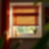 Demonstration of removing a window shade