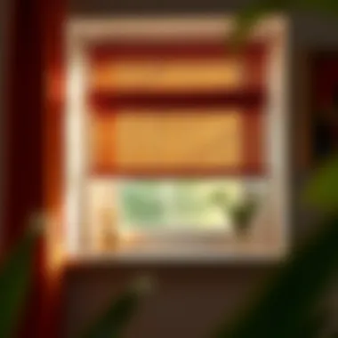 Demonstration of removing a window shade