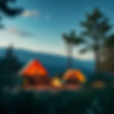 Diverse camping styles showcased in nature