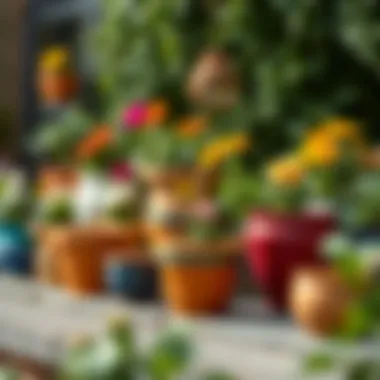 Various styles of Tesbih flower pots in a garden setting