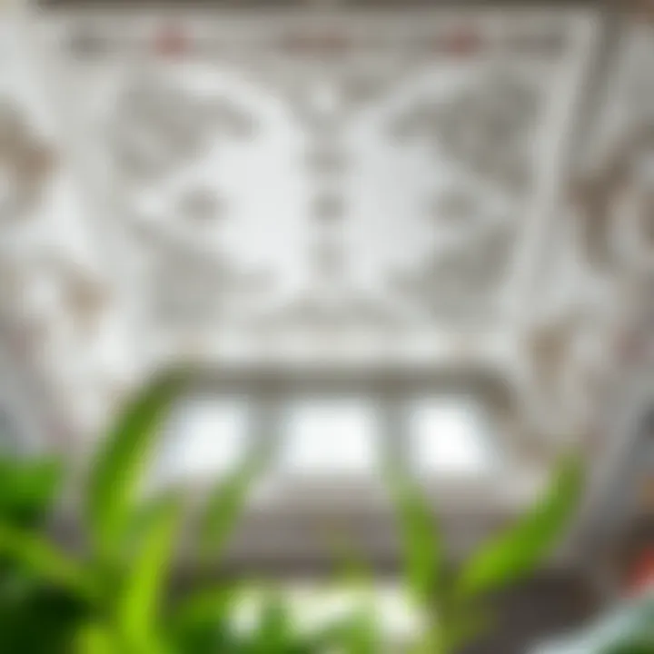 Charming Decorative Patterns Charming plaster ceiling with decorative patterns